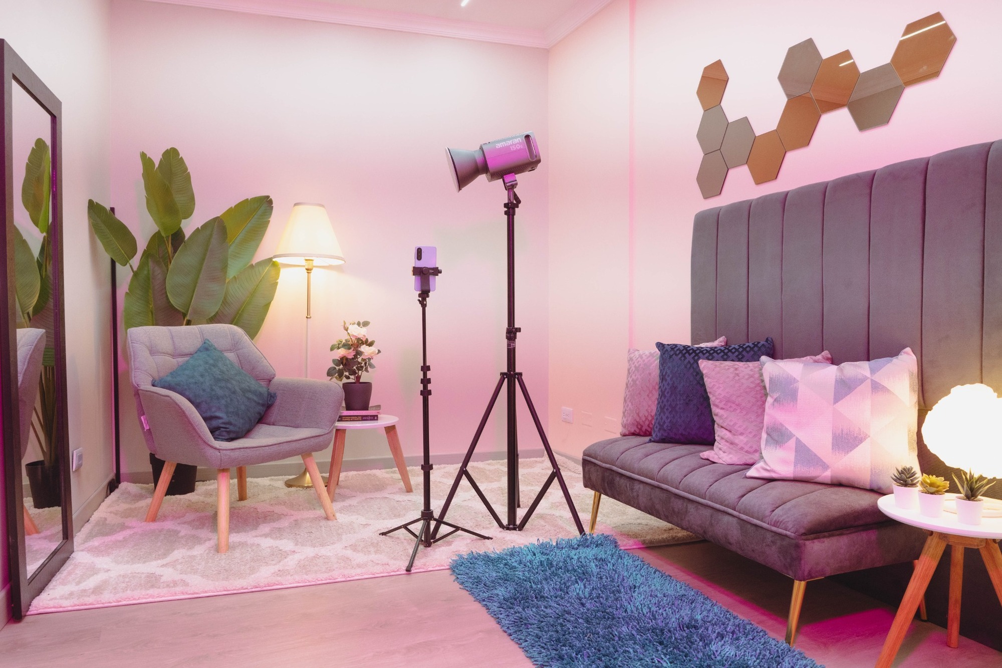 Purple room